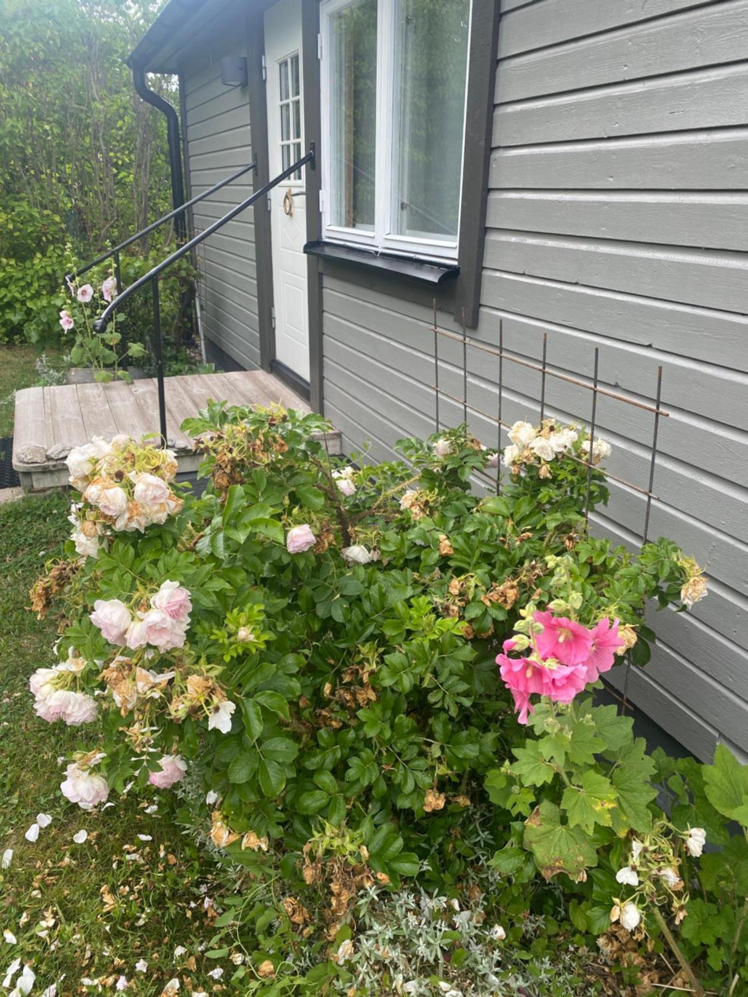 Stuga Romakloster Eksteriør bilde